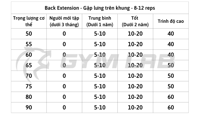 Mức tạ bài tập Back Extension - Gập lưng trên khung - 8-12 reps