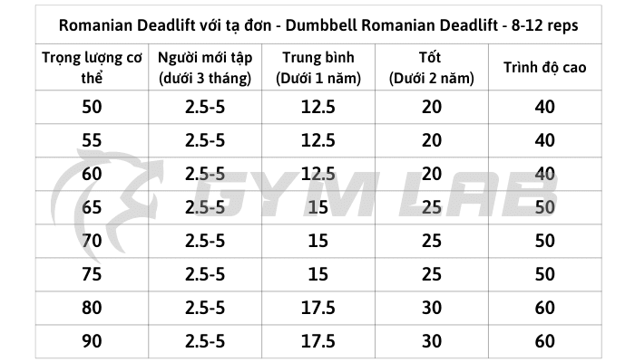 Mức tạ bài tập Romanian Deadlift với tạ đơn - Dumbbell Romanian Deadlift