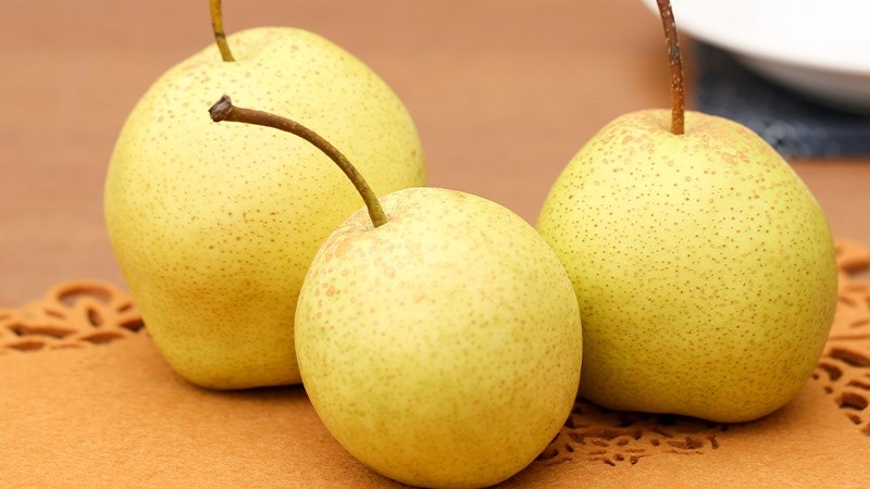 Thành phần dinh dưỡng của quả lê: Không chỉ là “quả ngọt”