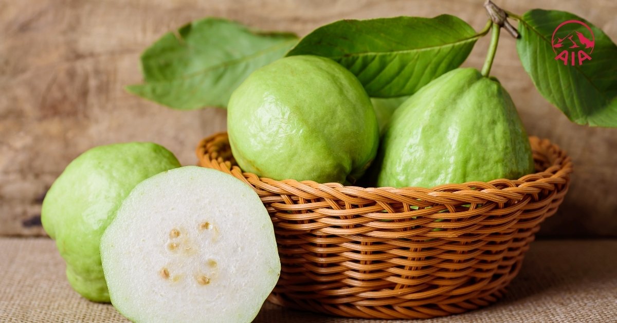 Giá trị dinh dưỡng có trong quả ổi: Tại sao nó được gọi là “vitamin C siêu nạc”