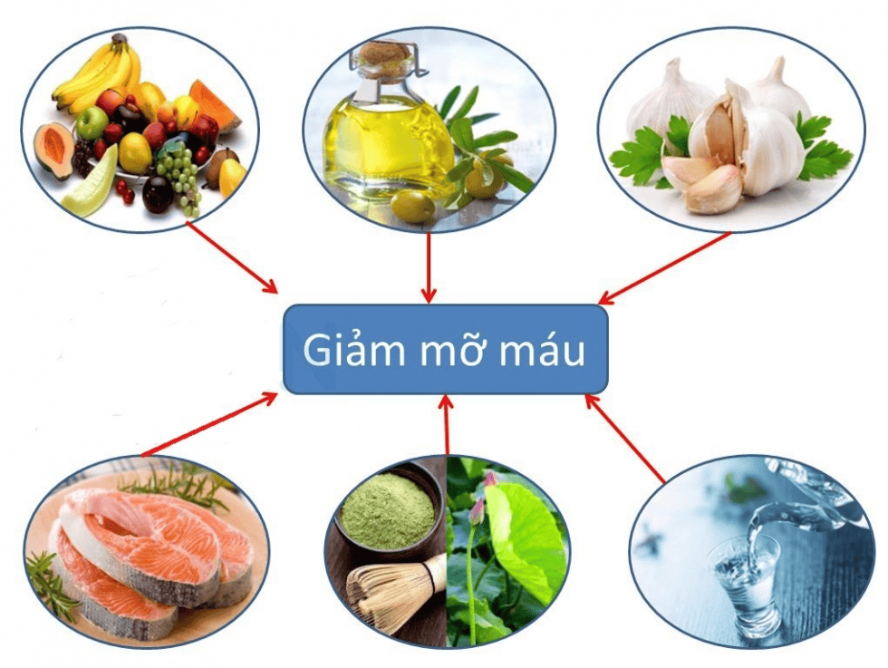 ăn gì để giảm mỡ máu - Thực phẩm giảm mỡ máu: Khoa học đằng sau mỗi miếng ăn