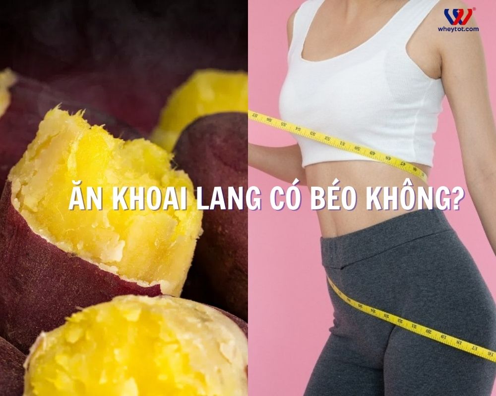 Ăn khoai lang có béo không? Câu trả lời phụ thuộc vào 3 yếu tố then chốt Ăn khoai lang có béo không? Câu trả lời phụ thuộc vào 3 yếu tố then chốt