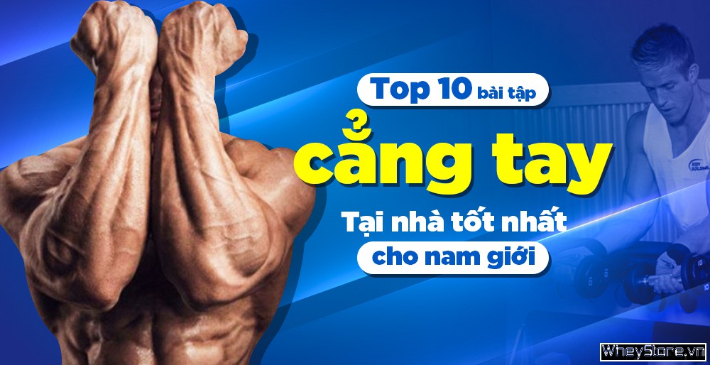 Giải phẫu cẳng tay: Hiểu để tập đúng, không phải tập nhiều Giải phẫu cẳng tay: Hiểu để tập đúng, không phải tập nhiều