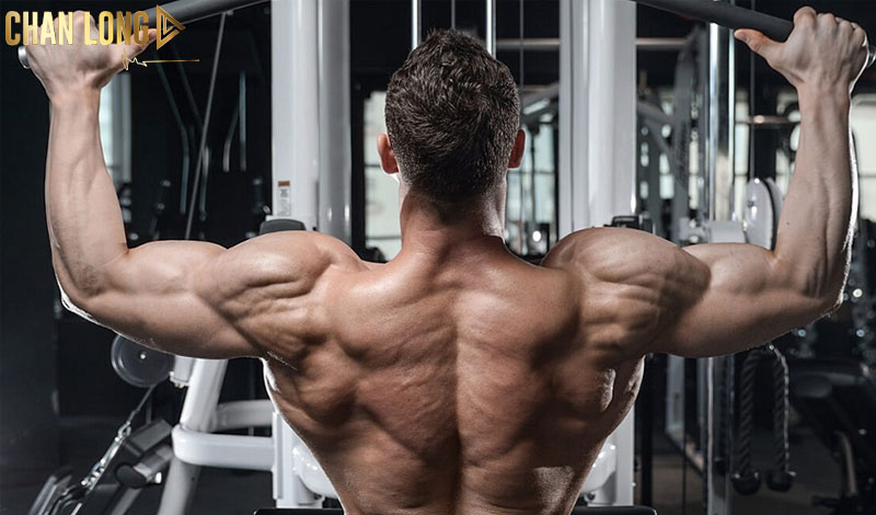 Cầu vai là gì? Không phải “cái vai to”, mà là 3 nhóm cơ riêng biệt hoạt động độc lập