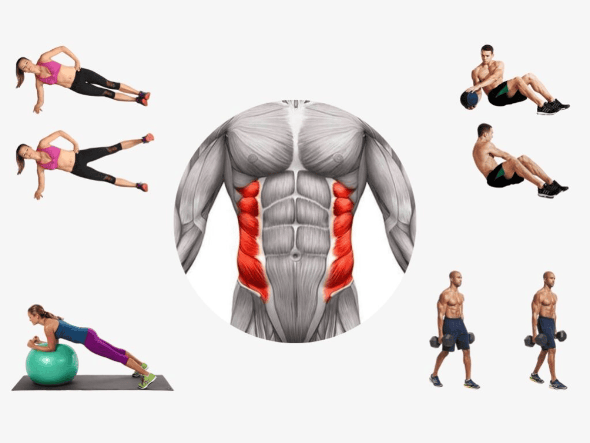 10 bài tập cơ liên sườn hiệu quả nhất — hướng dẫn từng chi tiết kỹ thuật
