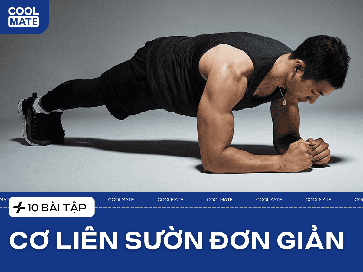 Cơ liên sườn là gì? Không phải “cơ bụng phụ”, mà là hệ thống điều khiển trung tâm