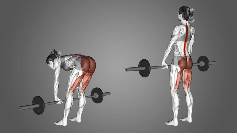 Nhóm bài tập đùi sau không cần dụng cụ: Hiệu quả nếu bạn biết “kích hoạt” đúng