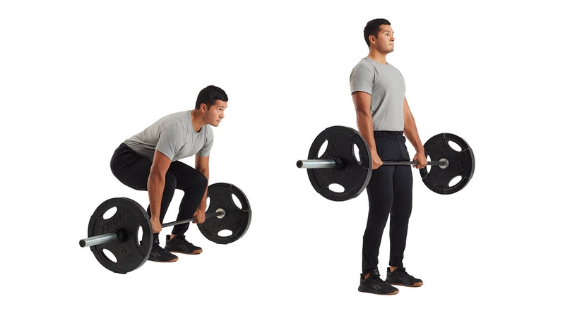 Vì sao lưng dưới lại dễ bị bỏ quên — và tại sao điều đó nguy hiểm?