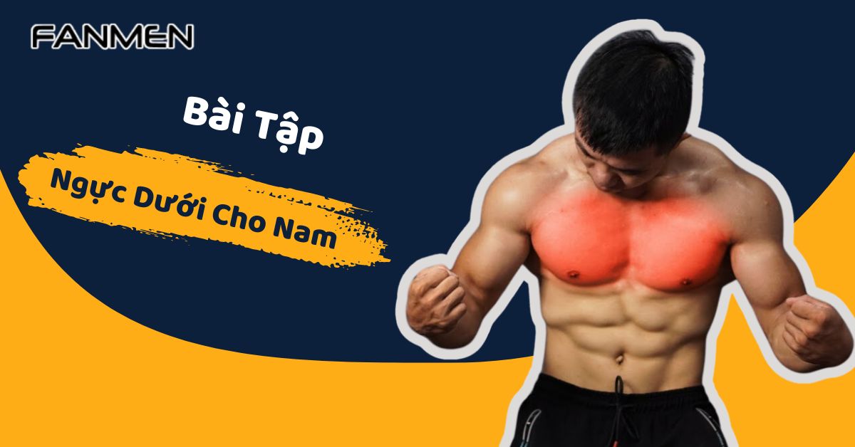 Cơ ngực dưới không tồn tại như một cơ riêng biệt — nhưng nó hoàn toàn có thể được nhắm trúng