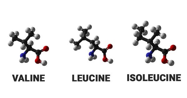 Đã uống Whey Protein rồi, có cần uống thêm BCAA không? Câu trả lời phụ thuộc vào 3 yếu tố Đã uống Whey Protein rồi, có cần uống thêm BCAA không? Câu trả lời phụ thuộc vào 3 yếu tố