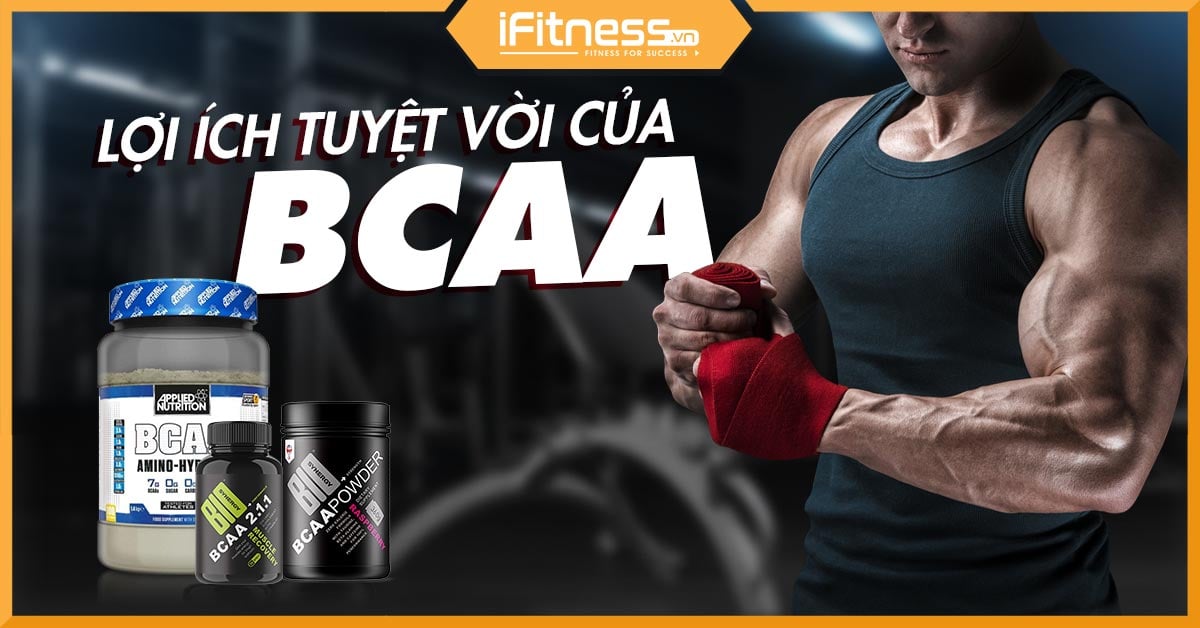 Tại sao BCAA lại quan trọng với người tập gym – và khi nào thì nó trở nên vô nghĩa? Tại sao BCAA lại quan trọng với người tập gym – và khi nào thì nó trở nên vô nghĩa?