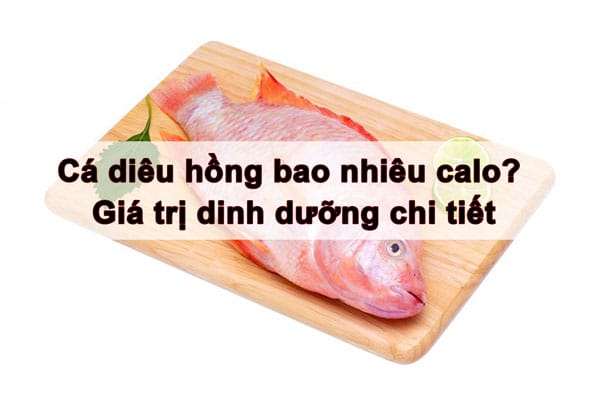 Cá diêu hồng là loài cá gì — và tại sao nó lại “nặng ký” trong thực đơn thể hình?