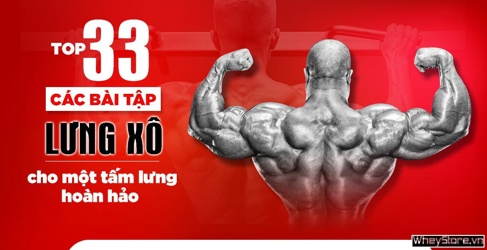 Tại sao cơ lưng xô lại là “cơ nền tảng” của toàn bộ vóc dáng? Tại sao cơ lưng xô lại là “cơ nền tảng” của toàn bộ vóc dáng?
