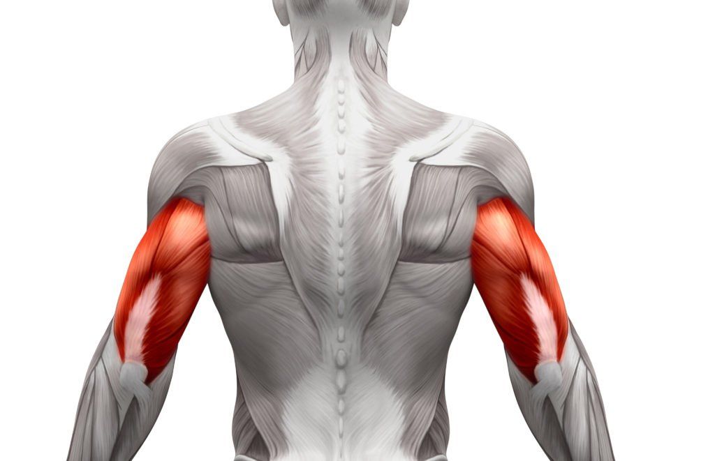 Vì sao bạn KHÔNG THỂ bỏ qua các bài tập tay sau?