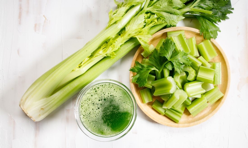 Dưa chuột: Không phải “rau nước”, mà là “bộ lọc tự nhiên” Dưa chuột: Không phải “rau nước”, mà là “bộ lọc tự nhiên”