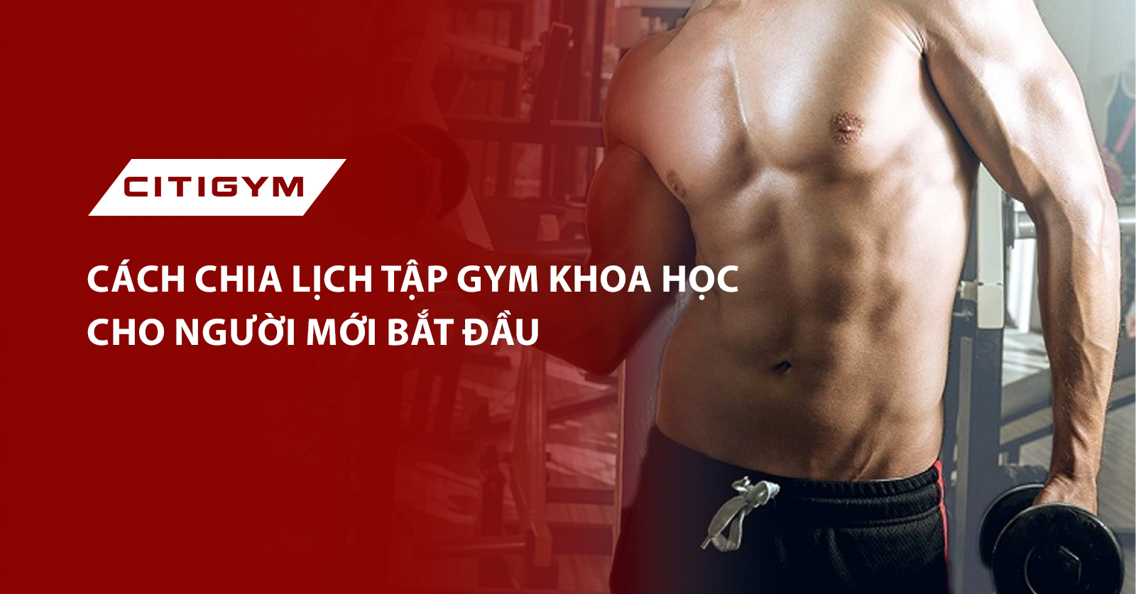 Cách chia lịch tập toàn bộ nhóm cơ (Full Body)