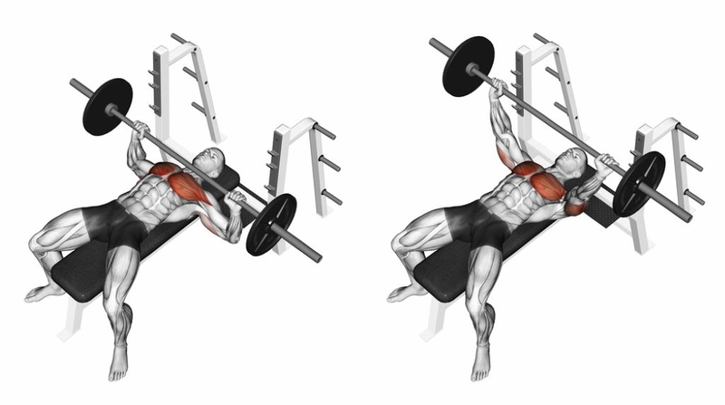 Cách tập bench press chuẩn chỉnh: từ tư thế nằm đến điểm chạm ngực