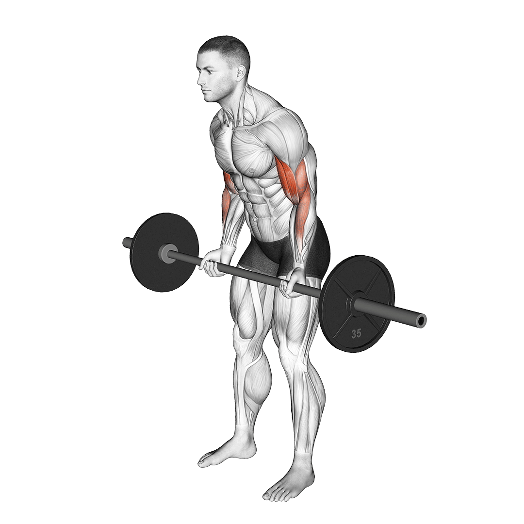 Những lưu ý thiết yếu bạn không được bỏ qua