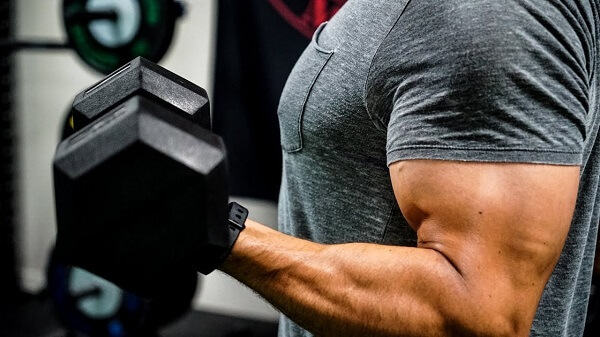 Các biến thể bicep curl hiệu quả nhất — và cách chọn đúng cho mục tiêu của bạn