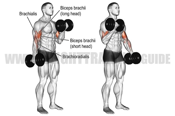 Lỗi sai thường gặp — và hậu quả cụ thể bạn đang gánh