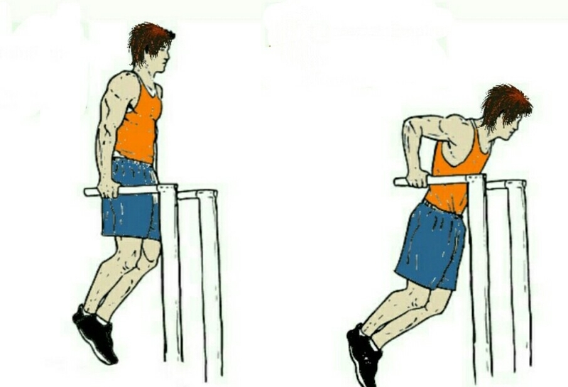 Cách tập chest dip đúng kỹ thuật — hướng dẫn từng giai đoạn, từng góc độ