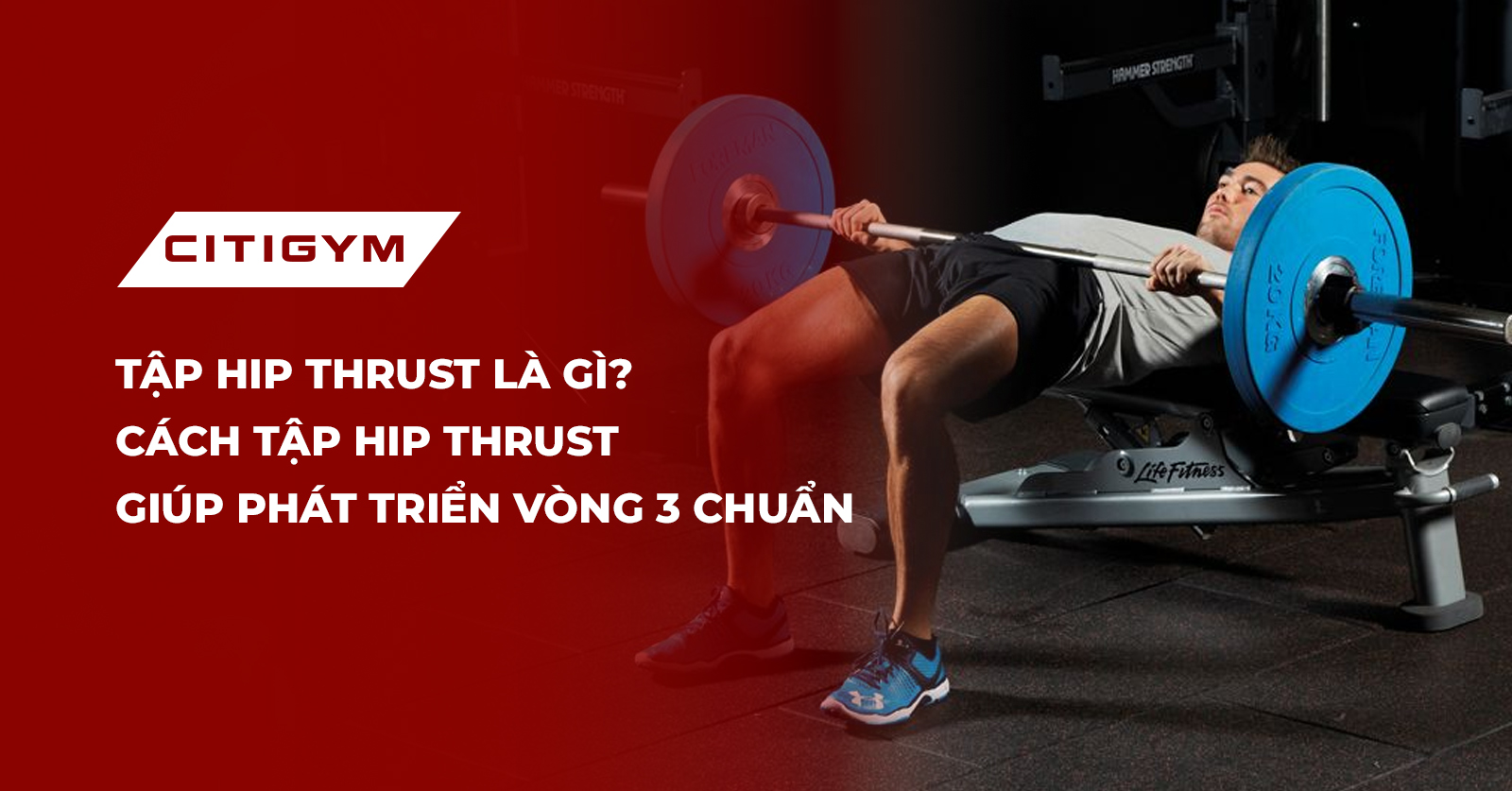 Tập hip thrust là gì? Và tại sao nó khác biệt hoàn toàn với squat hay glute bridge