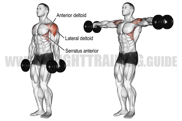 Lợi ích thực tế khi tập lateral raise đúng — không phải “tăng cơ vai” chung chung
