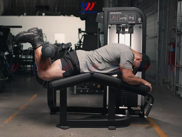 Leg curl là gì — và tại sao nó không chỉ là “gập chân”? Leg curl là gì — và tại sao nó không chỉ là “gập chân”?