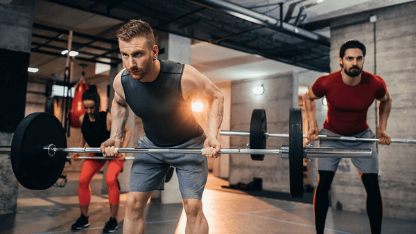 Các bài tập thay thế Seated Cable Row — khi bạn cần đa dạng hóa hoặc phục hồi
