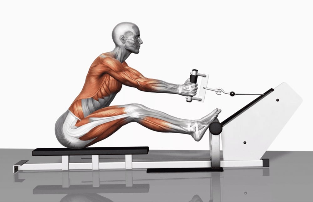 Hướng dẫn tập Seated Cable Row đúng cách — từng chi tiết nhỏ quyết định kết quả