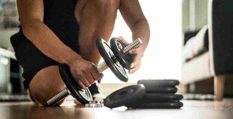 Các nhóm cơ vận động trong bài tập Calf Raise — không chỉ có “bắp chân”
