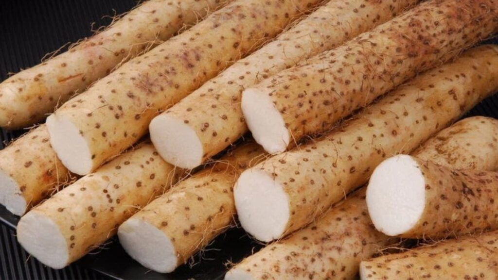 Củ từ là gì — không phải khoai, không phải sắn, mà là “siêu thực phẩm bị bỏ quên”