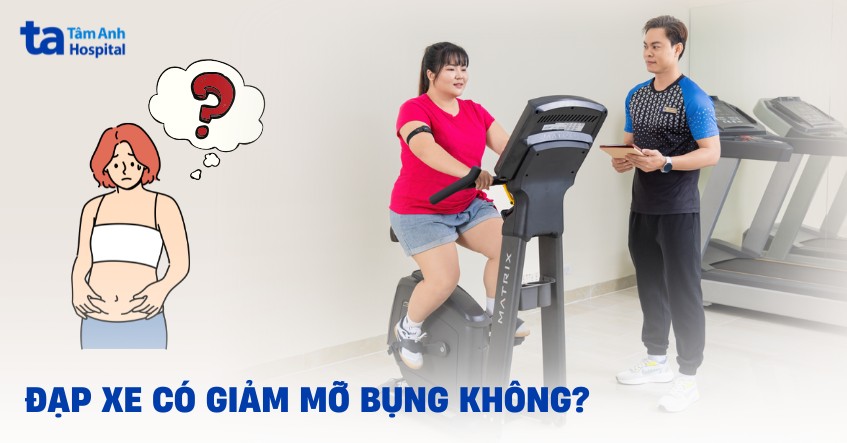 Đạp xe không “đốt mỡ bụng” — mà đốt mỡ <em>toàn thân</em>” title=”Đạp xe không “đốt mỡ bụng” — mà đốt mỡ <em>toàn thân</em>” loading=”lazy” style=”max-width:100%;height:auto;border-radius:8px;”></figure>
<p style=