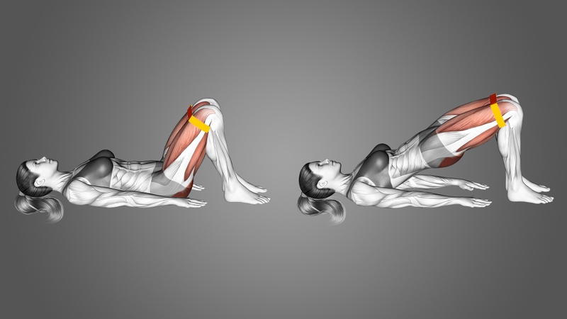 Các biến thể glute bridge — từ phục hồi đến nâng cao Các biến thể glute bridge — từ phục hồi đến nâng cao
