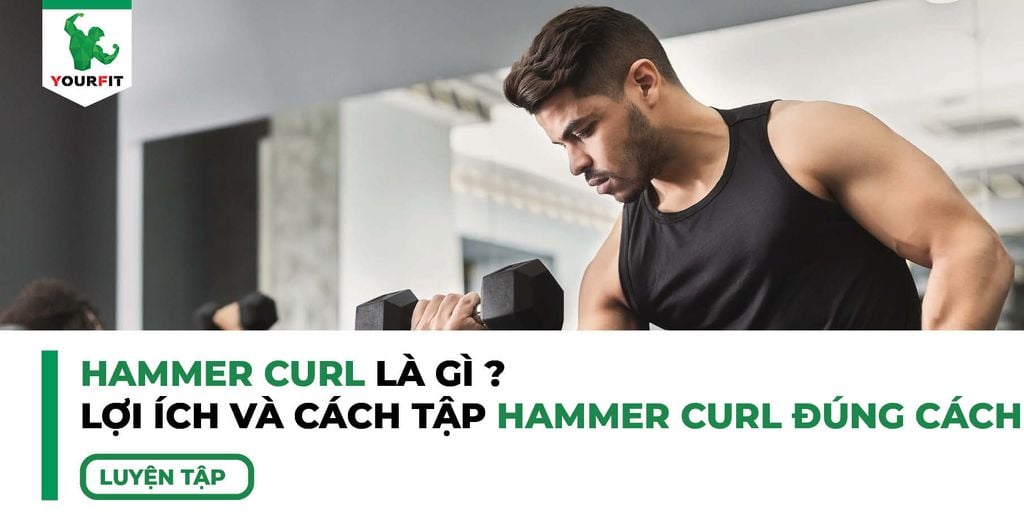 Hammer curl là gì? Định nghĩa rõ ràng, không mơ hồ
