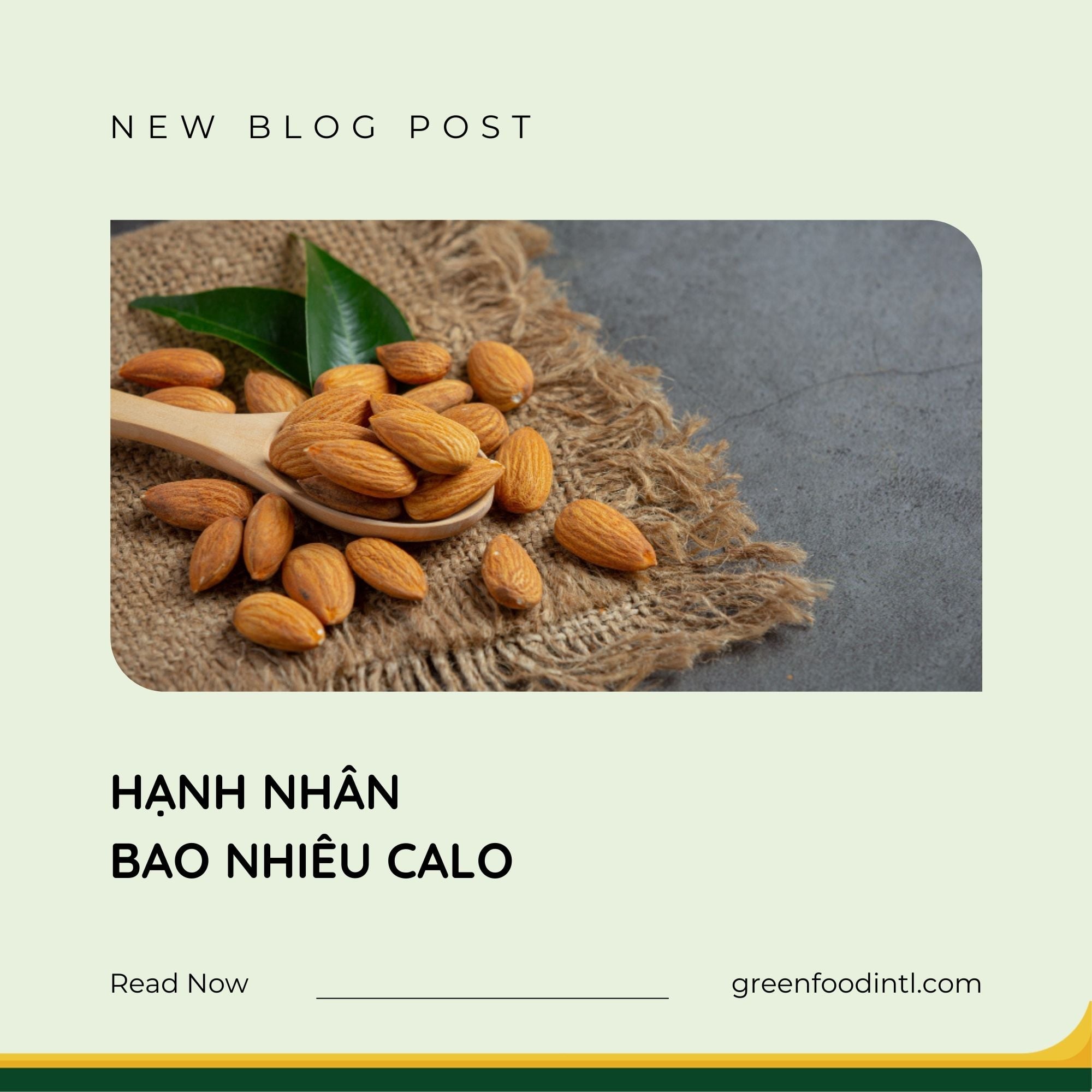 Vì sao hạnh nhân hỗ trợ giảm cân? Không phải vì “ít calo”, mà vì <em>cách cơ thể xử lý chúng</em>” title=”Vì sao hạnh nhân hỗ trợ giảm cân? Không phải vì “ít calo”, mà vì <em>cách cơ thể xử lý chúng</em>” loading=”lazy” style=”max-width:100%;height:auto;border-radius:8px;”></figure>
<p style=