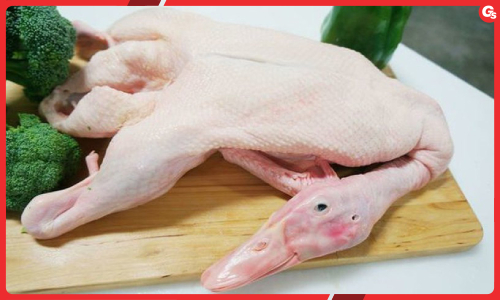 100g hạt hướng dương bao nhiêu calo? — Phân tích theo dạng chế biến