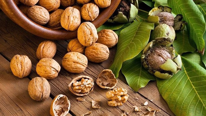 Lợi ích khoa học của hạt óc chó — vượt xa mức “ăn tốt cho não” Lợi ích khoa học của hạt óc chó — vượt xa mức “ăn tốt cho não”