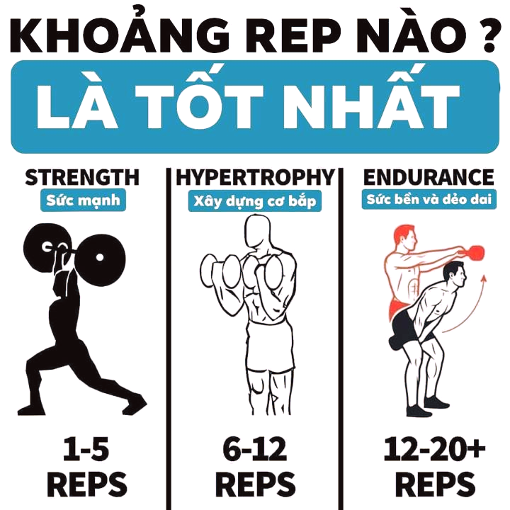 Làm sao biết hypertrophy đang xảy ra? Dấu hiệu thực tế — không phải “cảm giác” Làm sao biết hypertrophy đang xảy ra? Dấu hiệu thực tế — không phải “cảm giác”