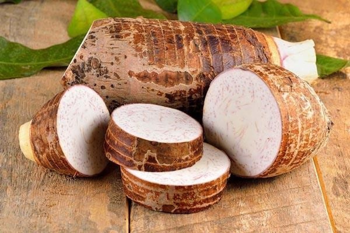 Thành phần dinh dưỡng của khoai sọ: Không chỉ là “tinh bột thường”