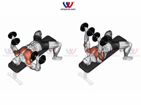 Thứ hai: Khối lượng tập phải biến thiên theo tuần — không đều đặn. Thứ hai: Khối lượng tập phải biến thiên theo tuần — không đều đặn.