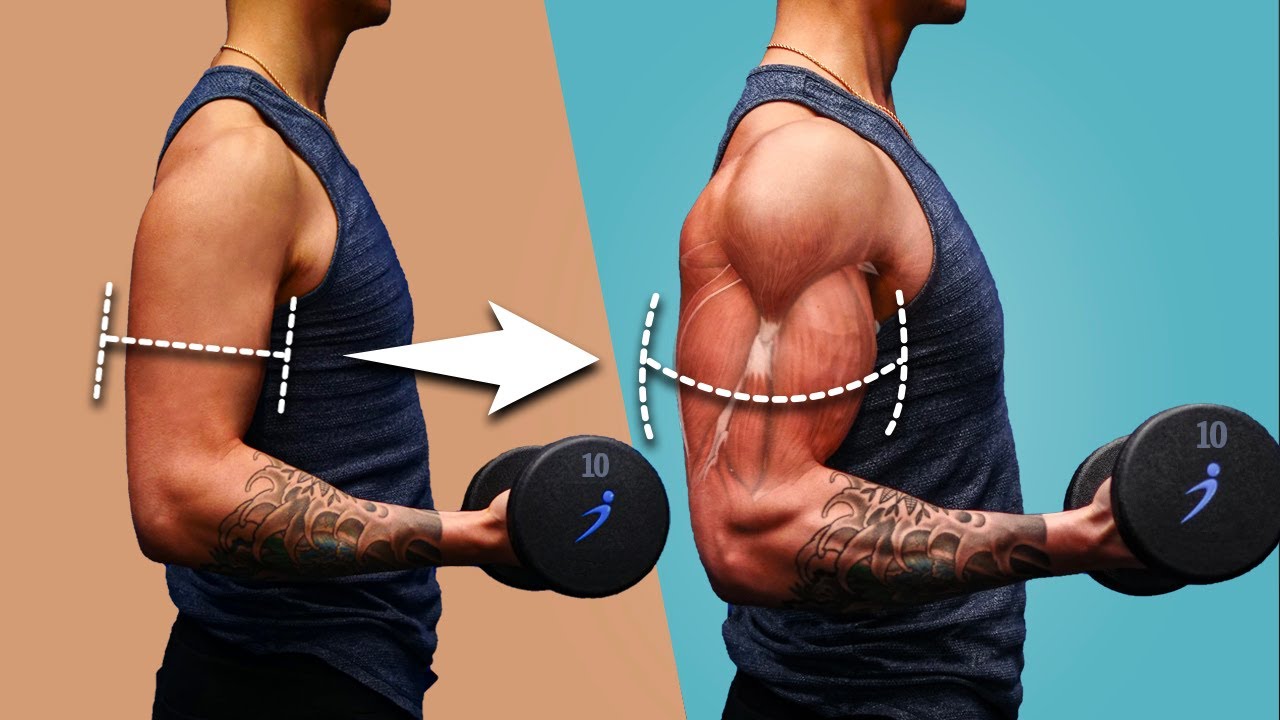 lịch tập gym cho nam - Vì sao 70% nam giới bỏ cuộc sau 6 tuần?