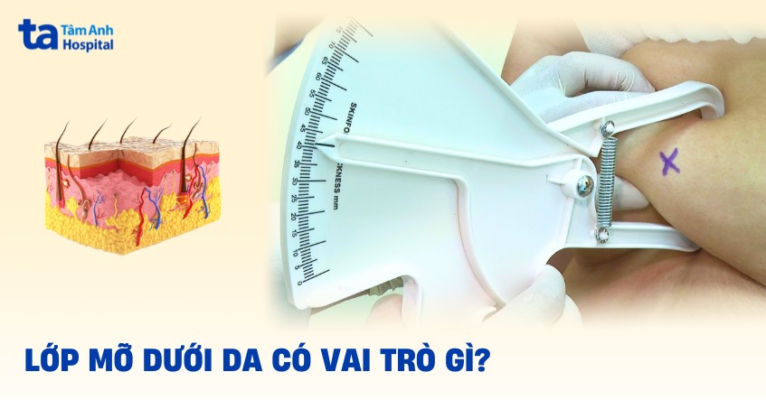 Cấu tạo của lớp mỡ dưới da: Không đơn giản chỉ là “mỡ” Cấu tạo của lớp mỡ dưới da: Không đơn giản chỉ là “mỡ”