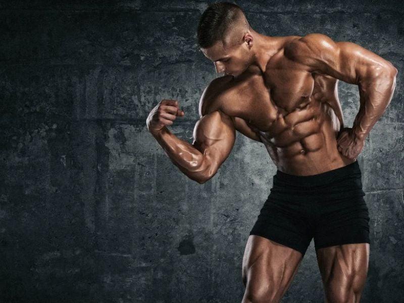 Lợi ích thực tế của muscle memory trong thể hình Lợi ích thực tế của muscle memory trong thể hình