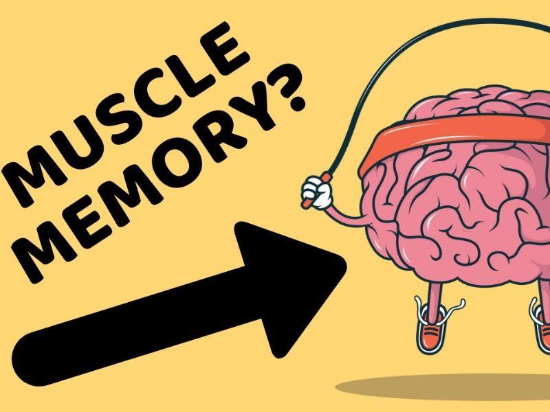 Cơ chế tạo nên muscle memory: Từ não đến nhân tế bào Cơ chế tạo nên muscle memory: Từ não đến nhân tế bào