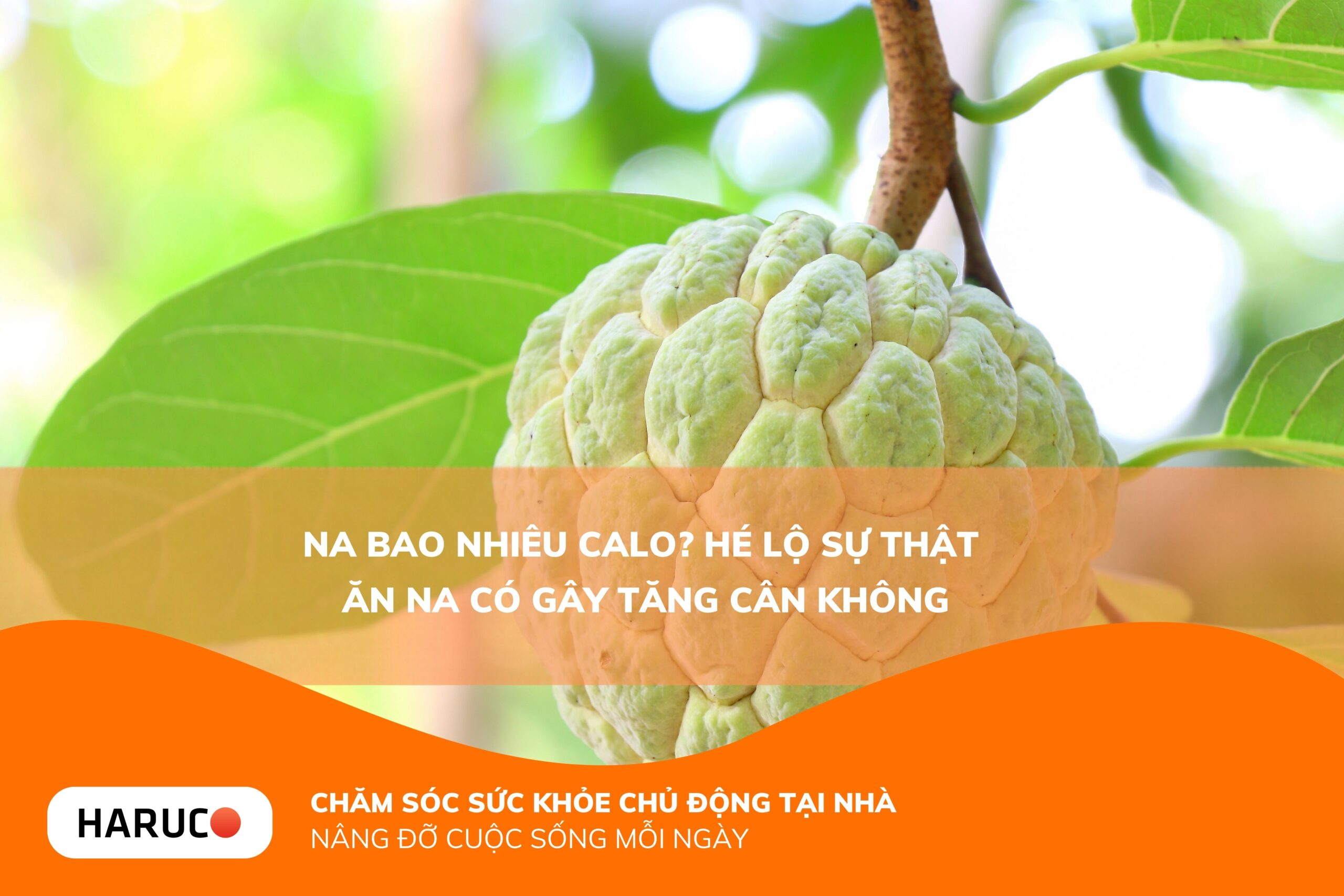 Na bao nhiêu calo? Câu trả lời phụ thuộc vào 3 yếu tố