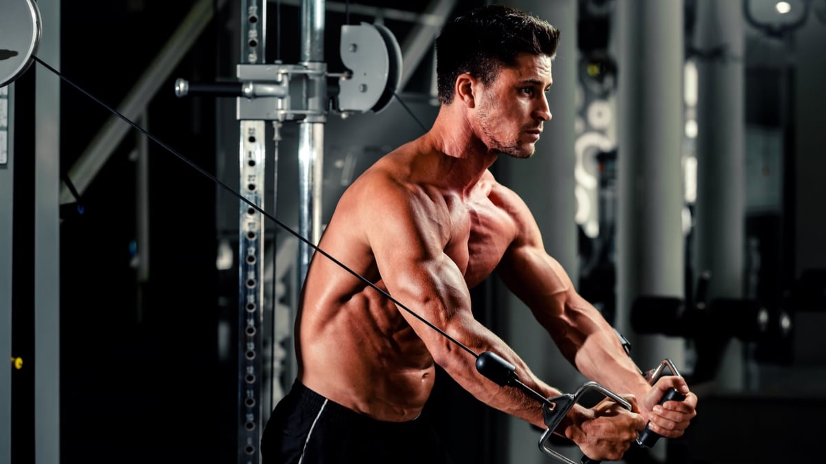 Cơ chế năng lượng không “chọn lựa”: cơ bắp không phân biệt “cardio” hay “tạ” Cơ chế năng lượng không “chọn lựa”: cơ bắp không phân biệt “cardio” hay “tạ”