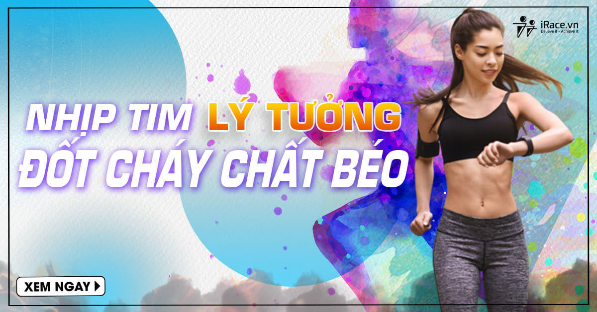 Nhịp tim không phải đồng hồ — mà là bản đồ sinh lý Nhịp tim không phải đồng hồ — mà là bản đồ sinh lý