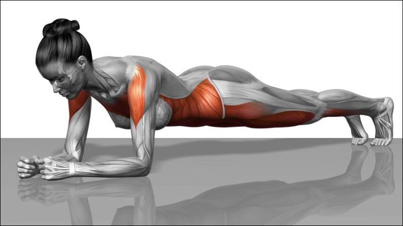 Tác dụng của plank vượt xa vùng bụng: Từ cột sống đến hệ tiêu hóa