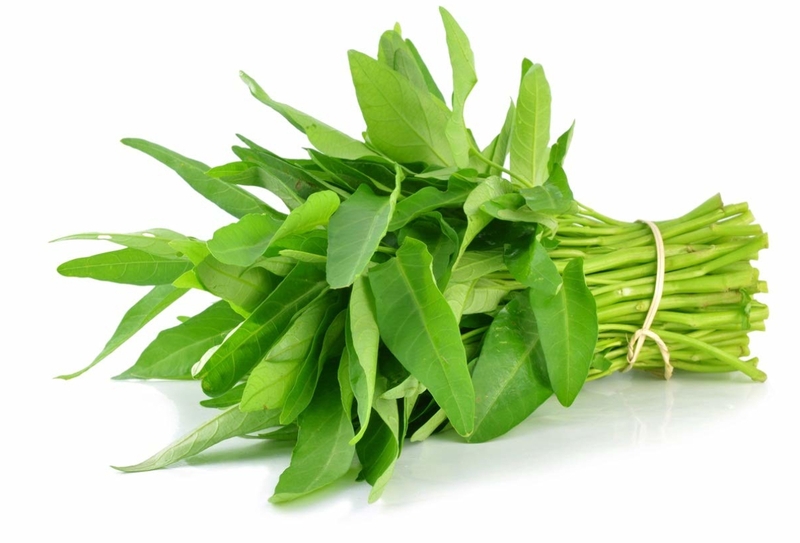 Thành phần dinh dưỡng trong 100g rau muống tươi — không phải “thông tin chung chung” Thành phần dinh dưỡng trong 100g rau muống tươi — không phải “thông tin chung chung”